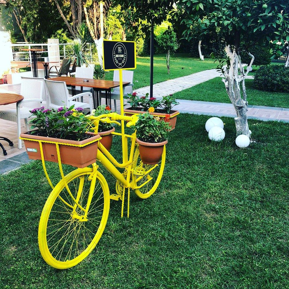 Dg Hotels Rose Resort (only adults 14+) - 45