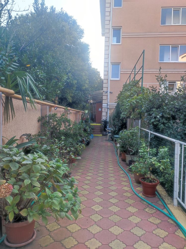 АМЕЛИЯ, гостевой дом - 1