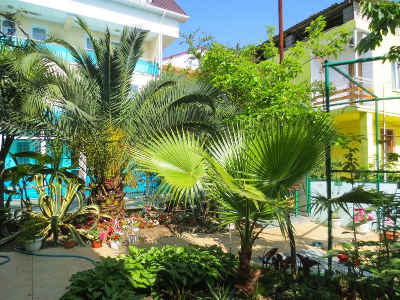 ДЕЛЬФИН, гостевой дом (ул. Аллейная) - 4