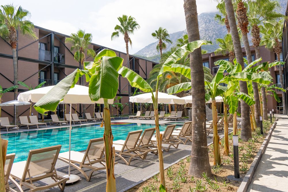 Картинка отеля - 15