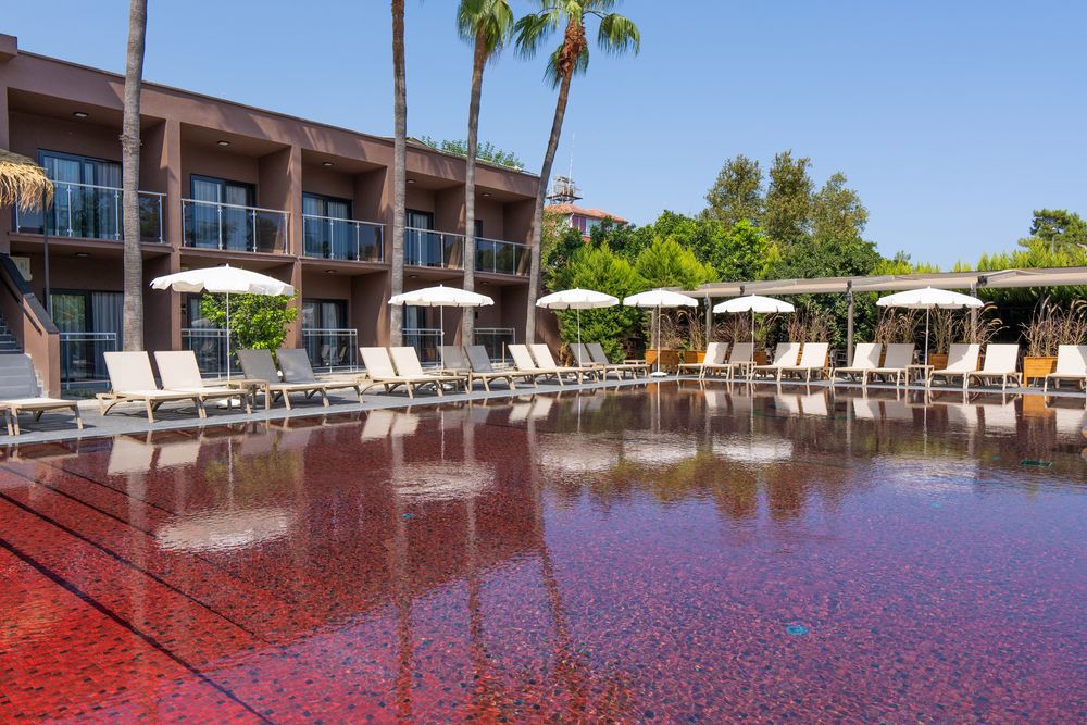 Картинка отеля - 8