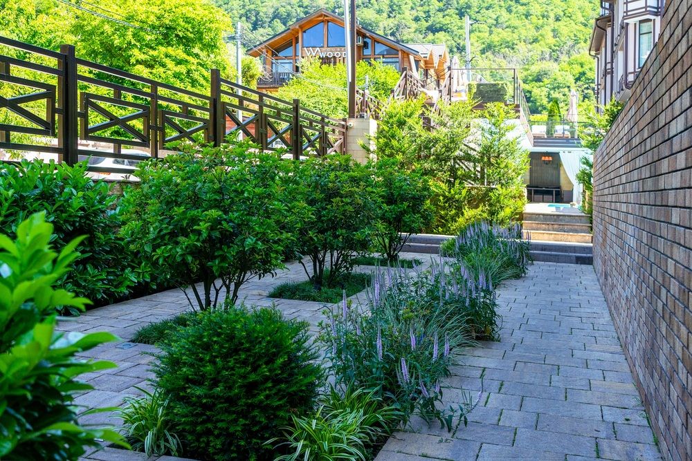 Картинка отеля - 168