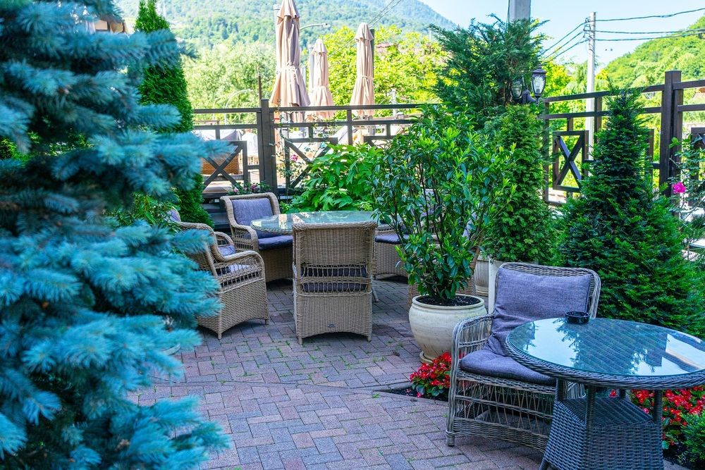 Картинка отеля - 164