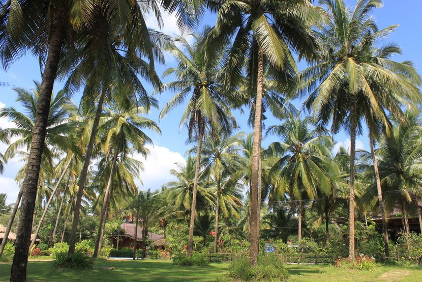 SUDALA BEACH RESORT - 6