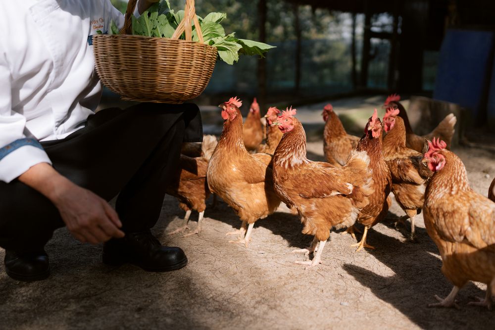 Картинка отеля - 26