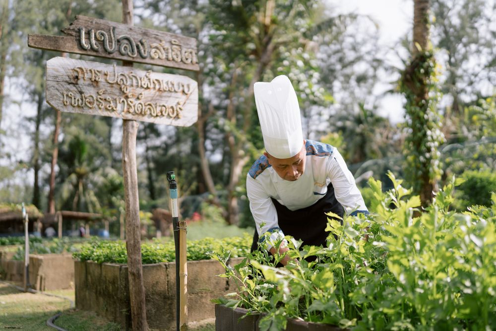 APSARA BEACHFRONT RESORT AND VILLA - 25