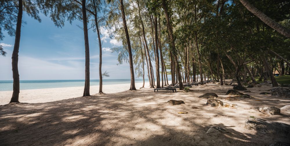 AVANI+ KHAO LAK RESORT - 8