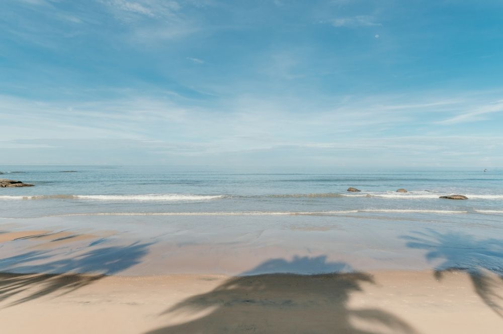 Картинка отеля - 23