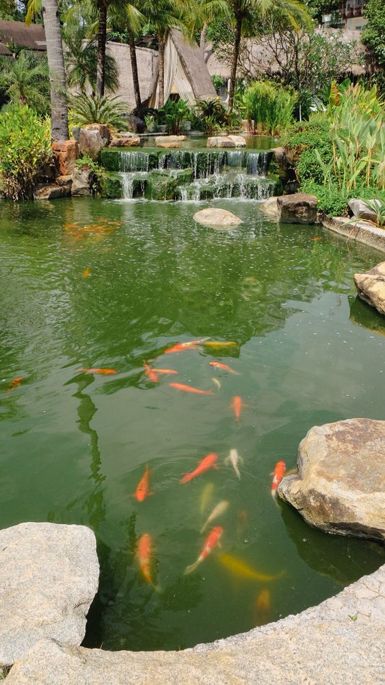 Картинка отеля - 9