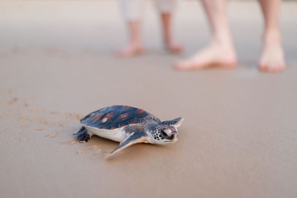 Картинка отеля - 29