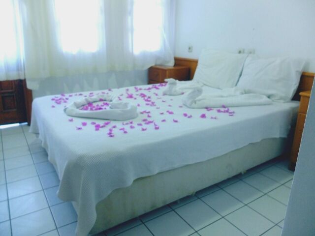 Картинка отеля - 15