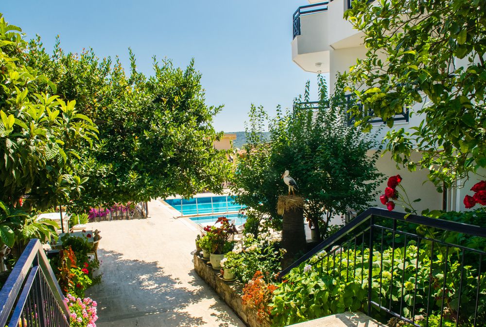 Картинка отеля - 11