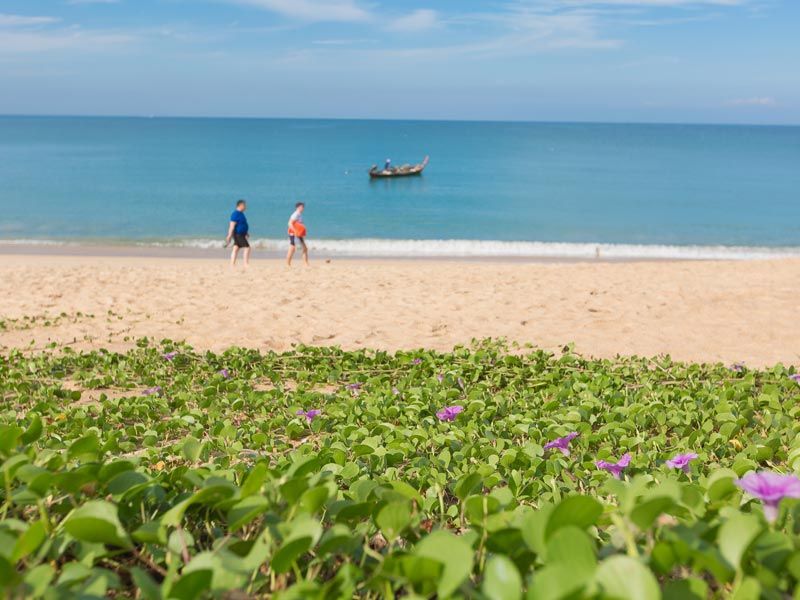 Картинка отеля - 6