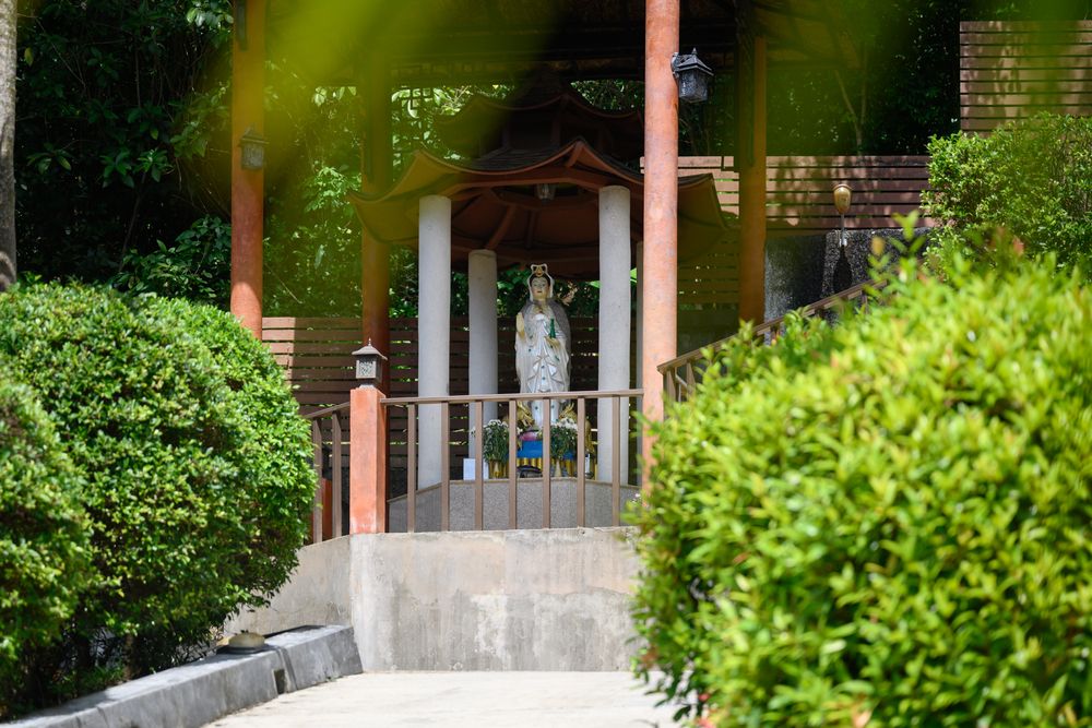 Картинка отеля - 26