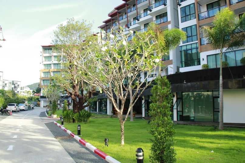 THE LUNAR PATONG - 6