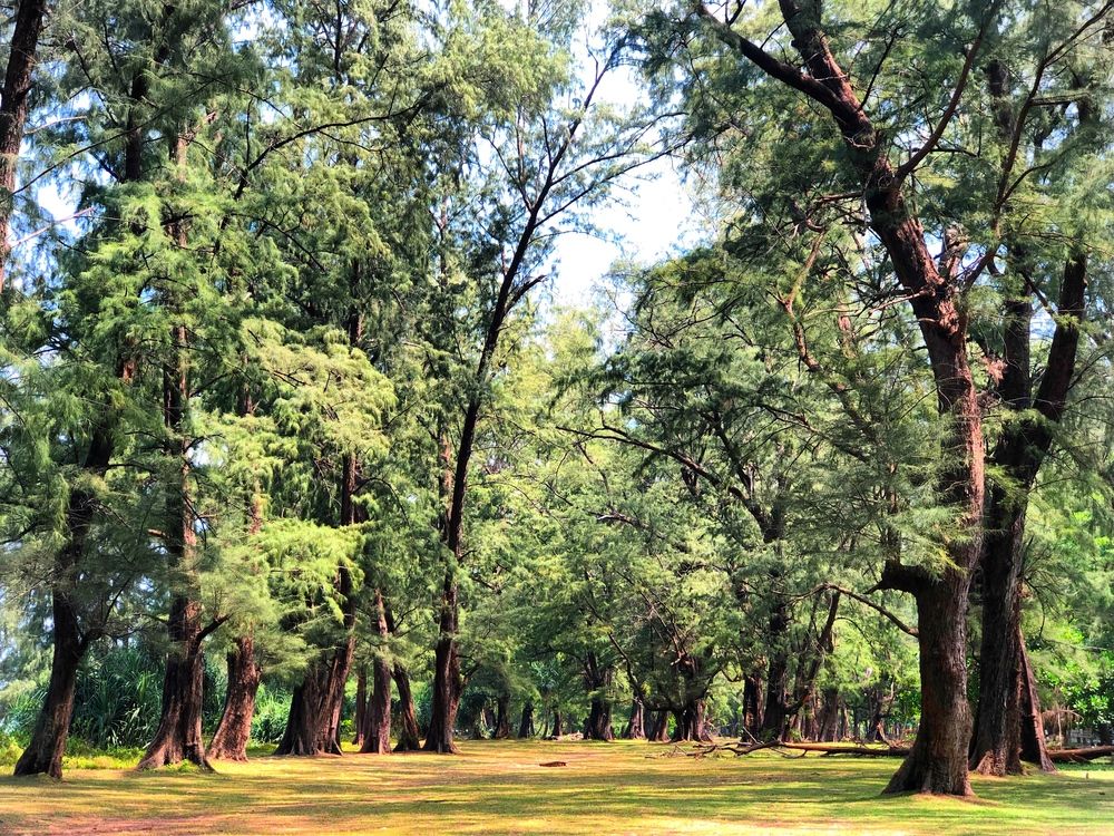 Картинка отеля - 14