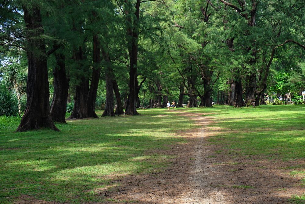 Картинка отеля - 55