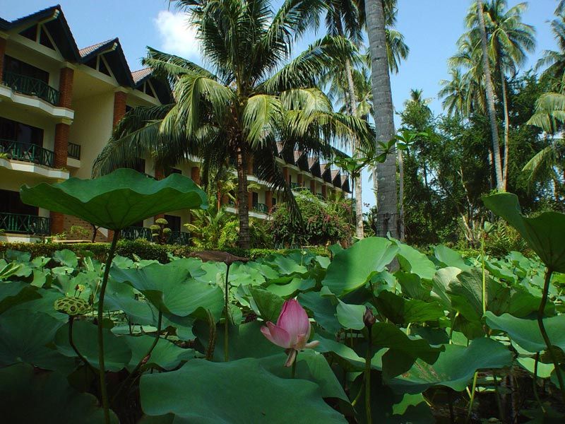 DUANGJITT RESORT & SPA - 8