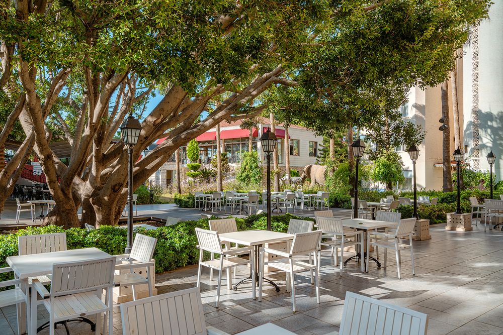 Картинка отеля - 121