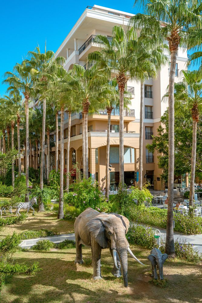 Картинка отеля - 14