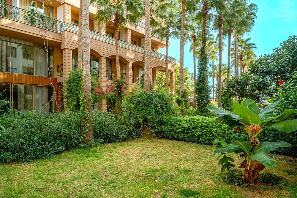 Картинка отеля - 6