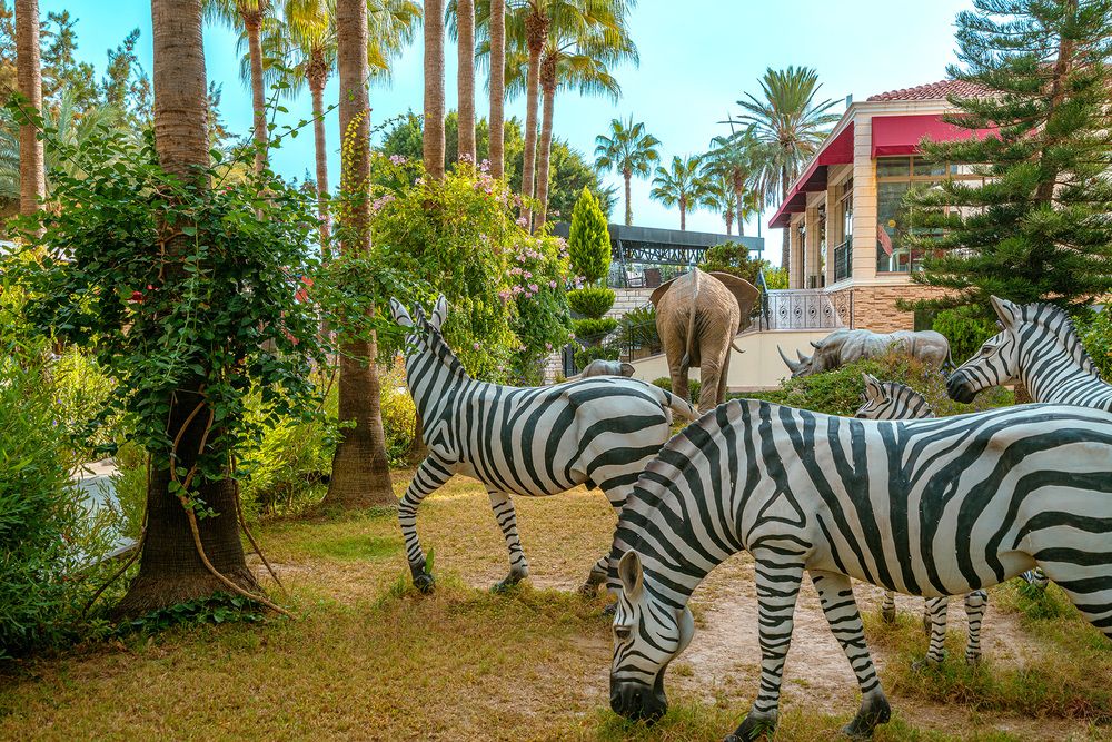 Картинка отеля - 18