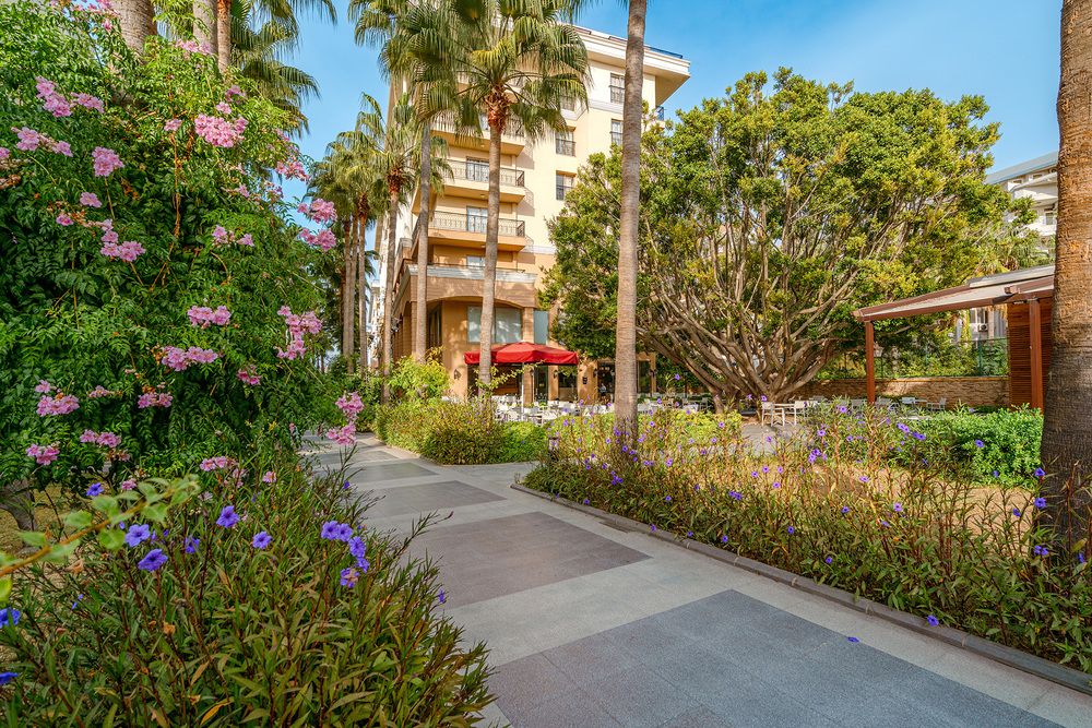 Картинка отеля - 9