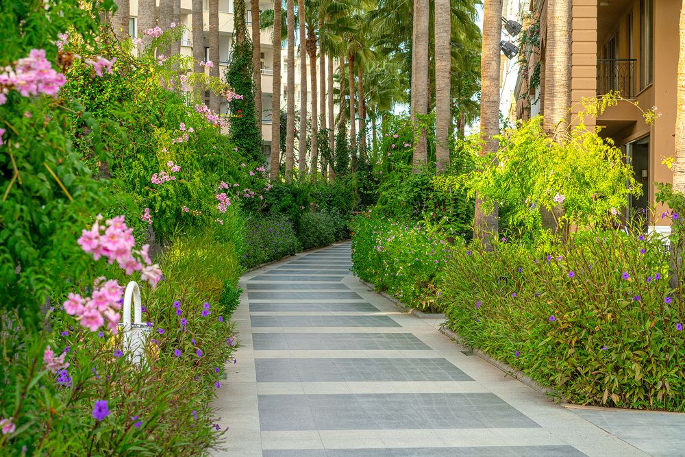 Картинка отеля - 7