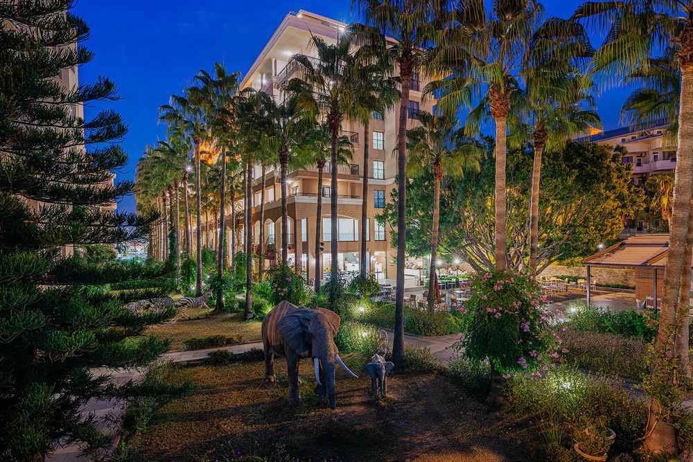 Картинка отеля - 19