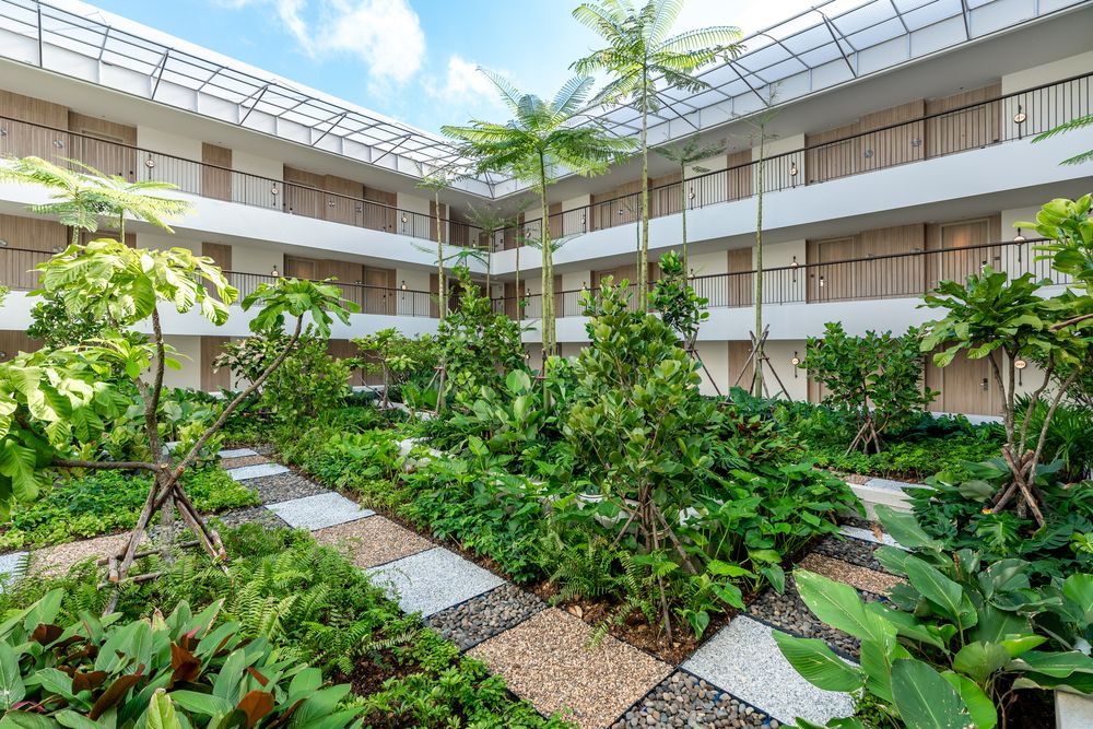 M SOCIAL HOTEL PHUKET - 4