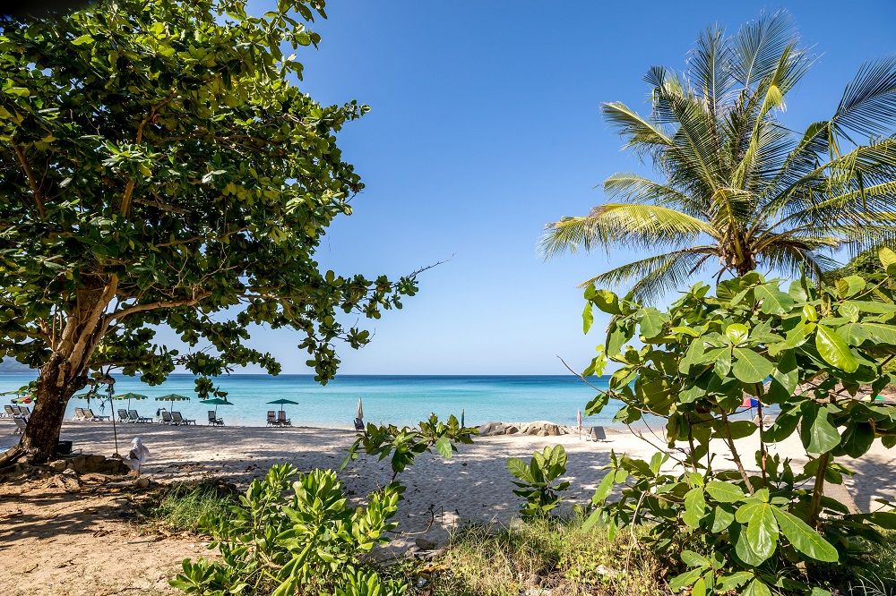 Картинка отеля - 61