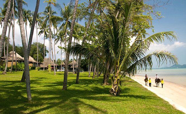 THE VIJITT RESORT - 1