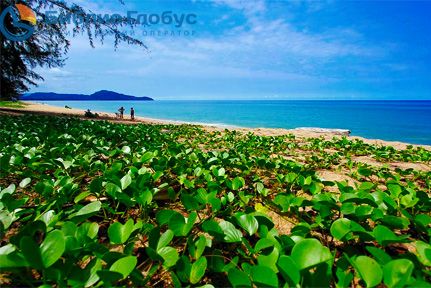 LE MERIDIEN PHUKET MAI KHAO BEACH RESORT - 3