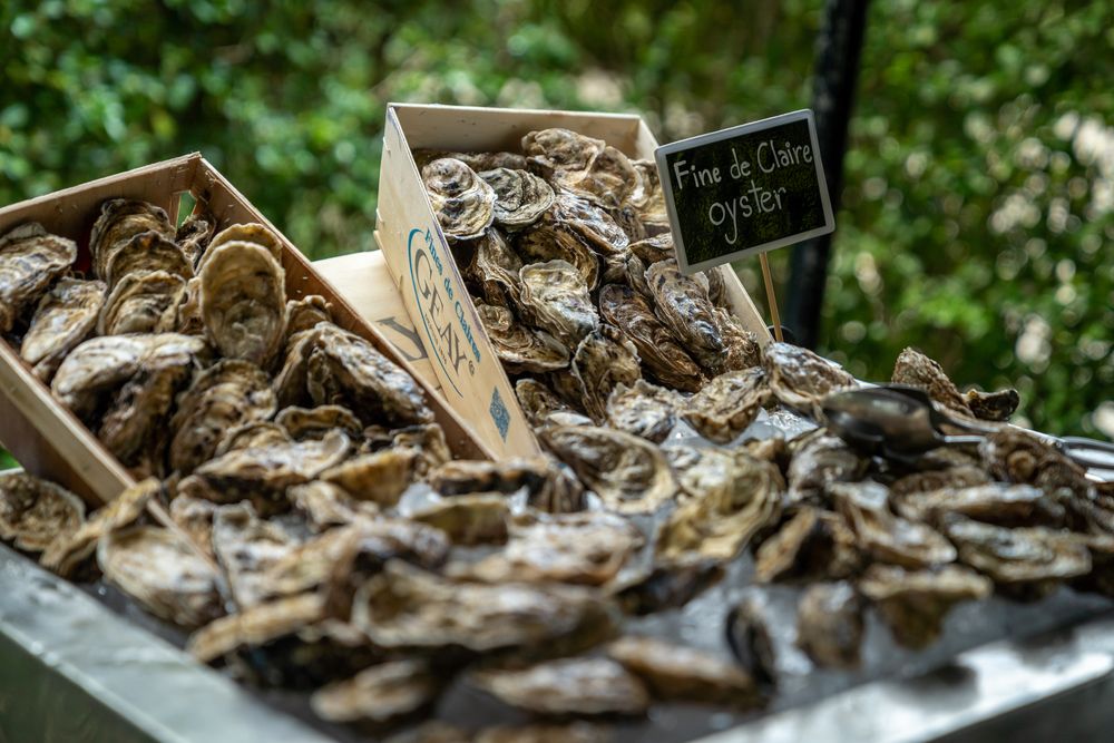 Картинка отеля - 76