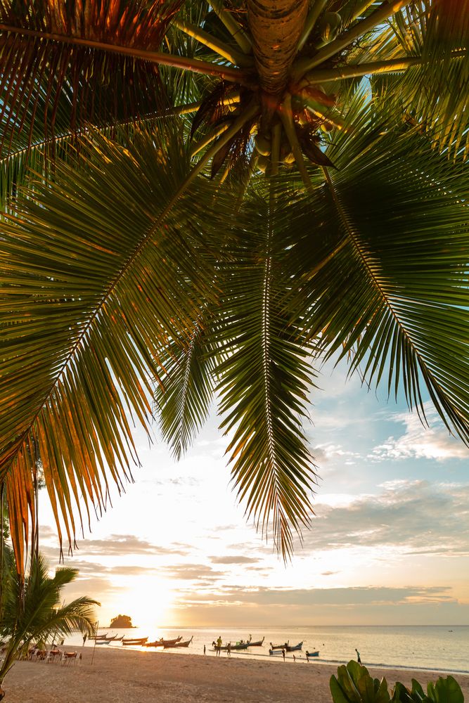 Картинка отеля - 17