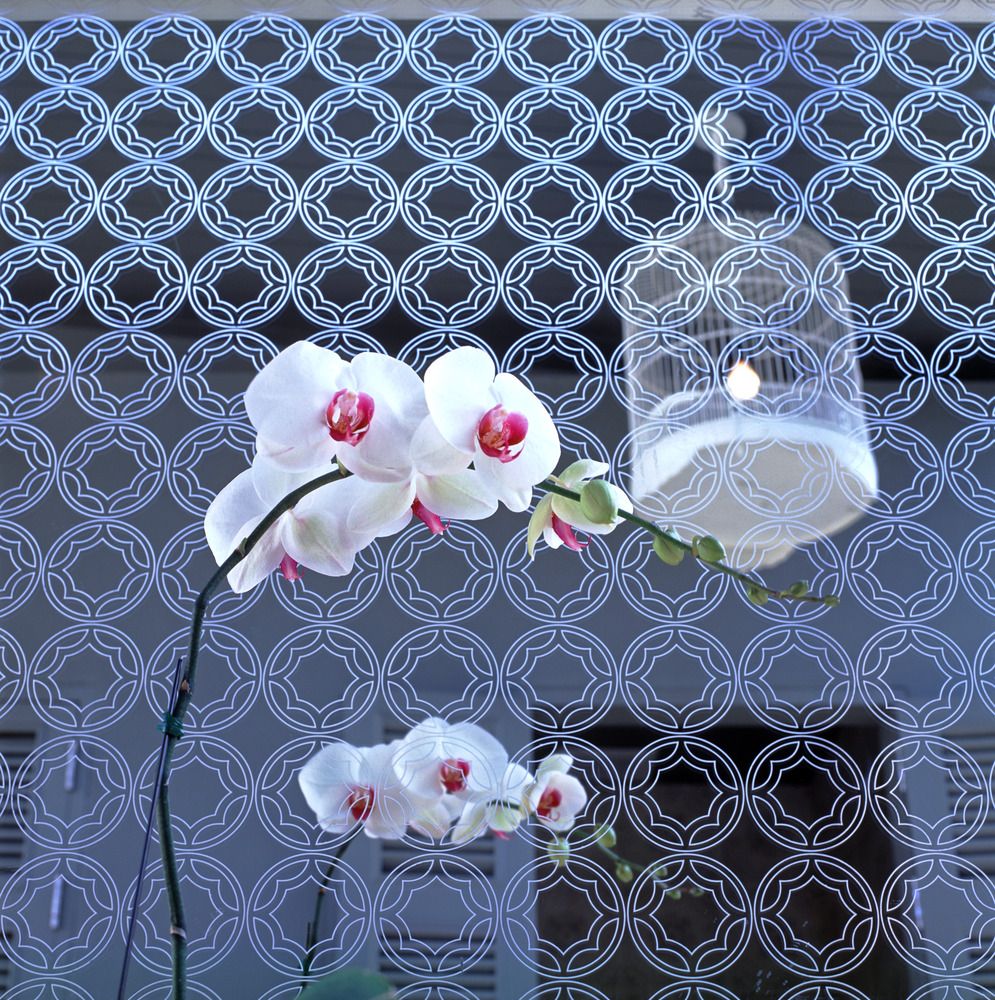 Картинка отеля - 186