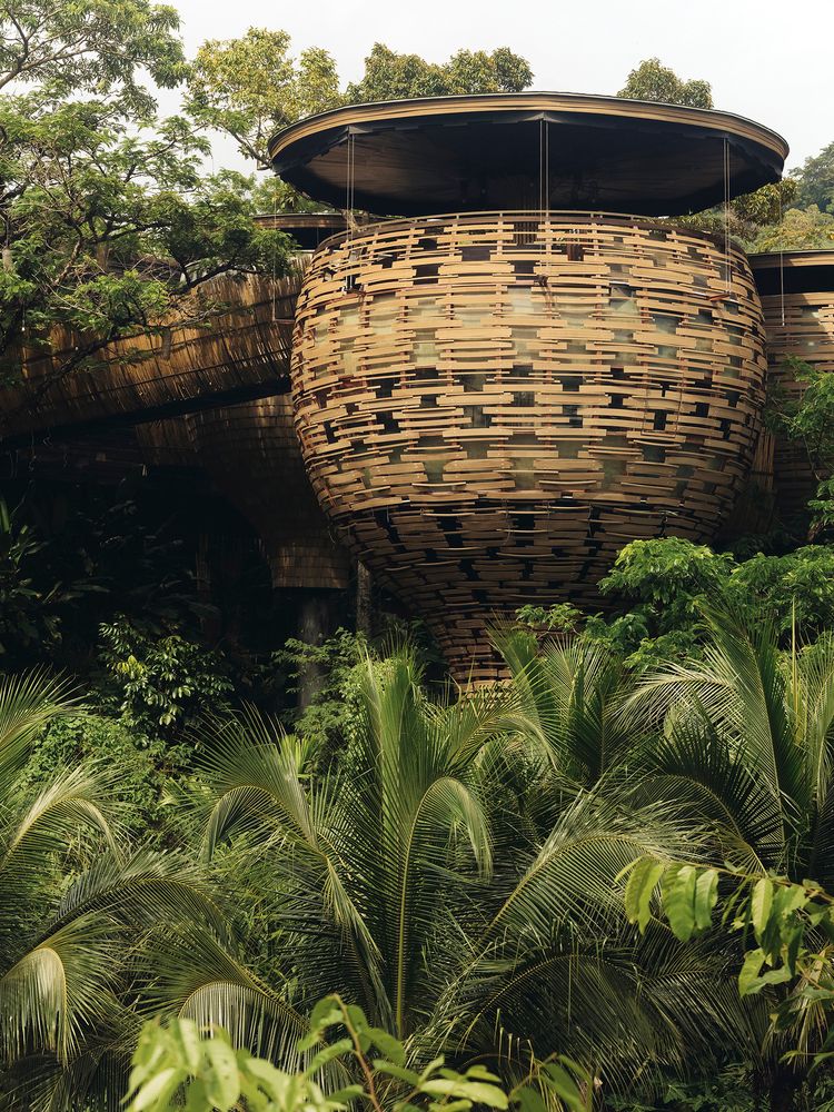 Картинка отеля - 6