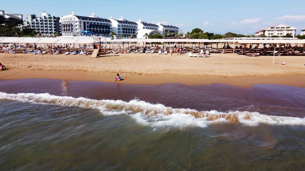 Картинка отеля - 13