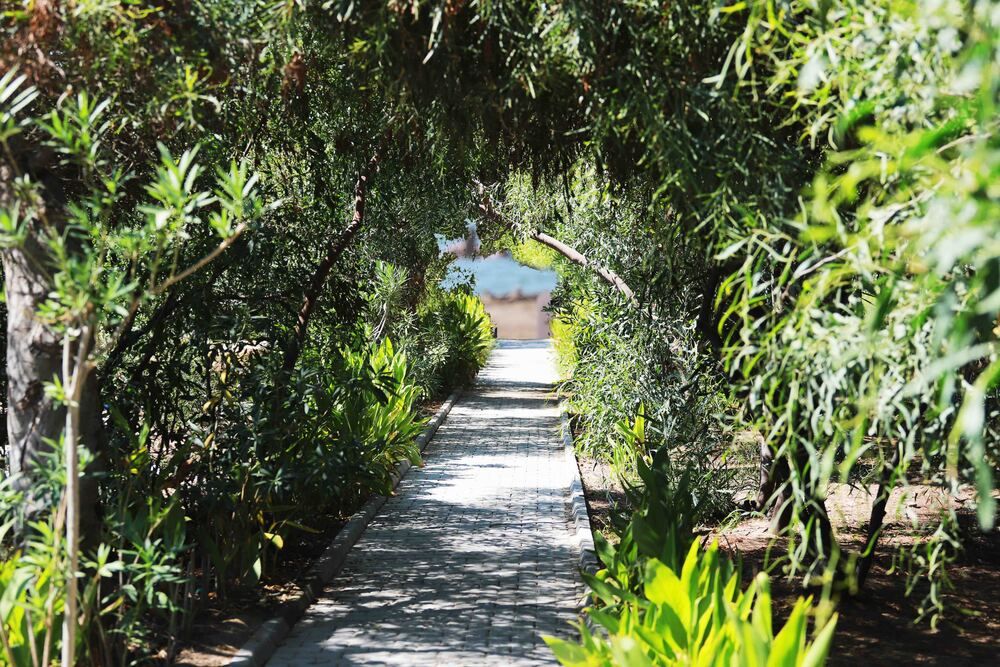 Картинка отеля - 8