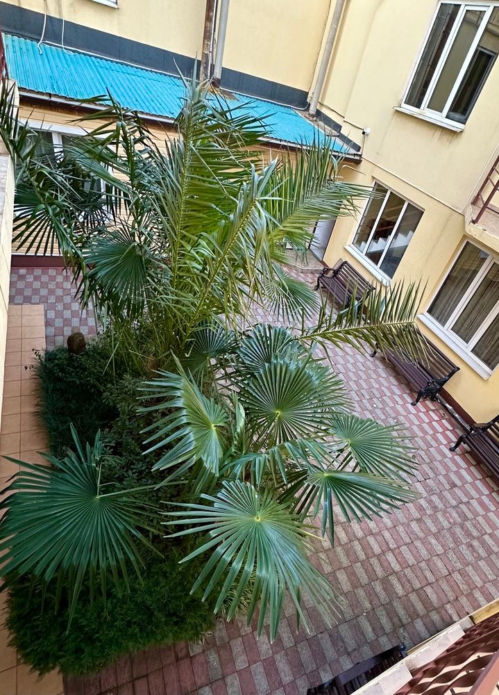 Картинка отеля - 6