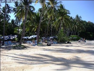 Картинка отеля - 15