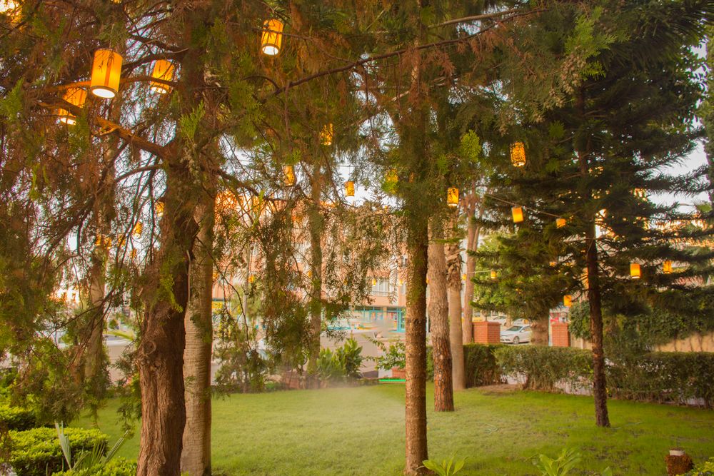 Lara Dinc Hotel - 13