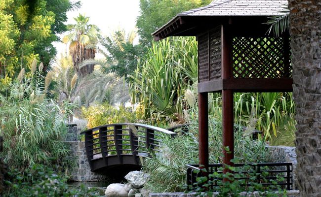 JA THE RESORT - JA PALM TREE COURT - 5