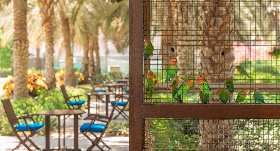 CORAL BEACH RESORT SHARJAH - 16