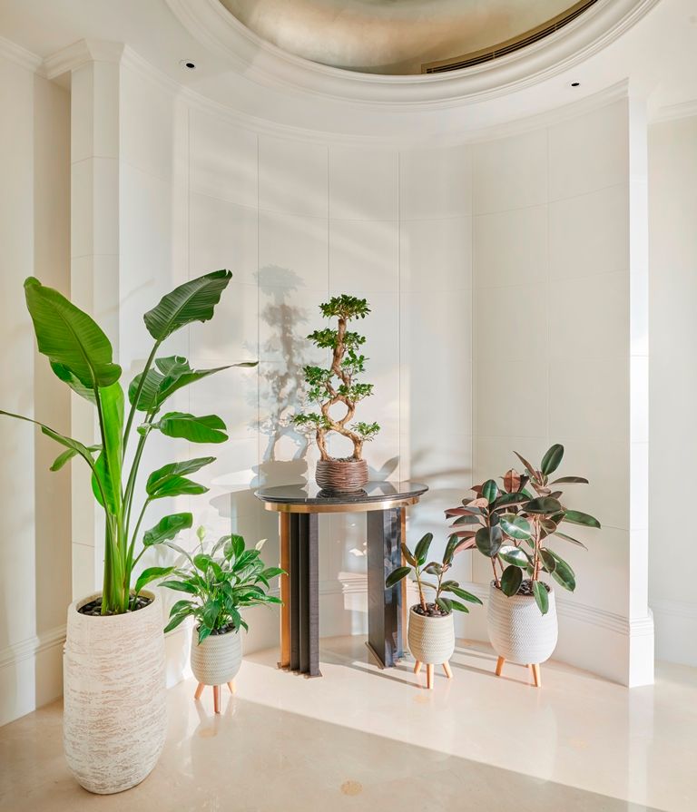 Картинка отеля - 75