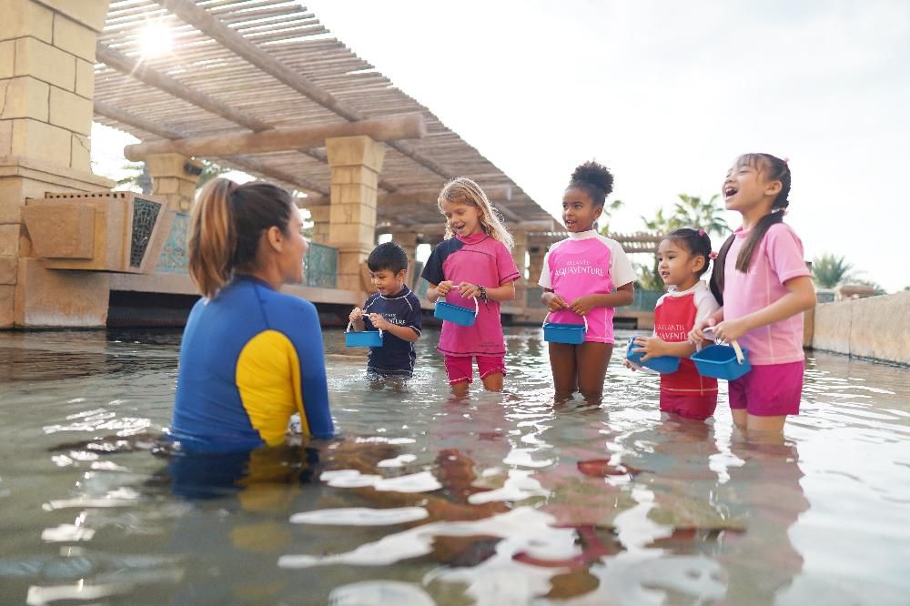 Картинка отеля - 76