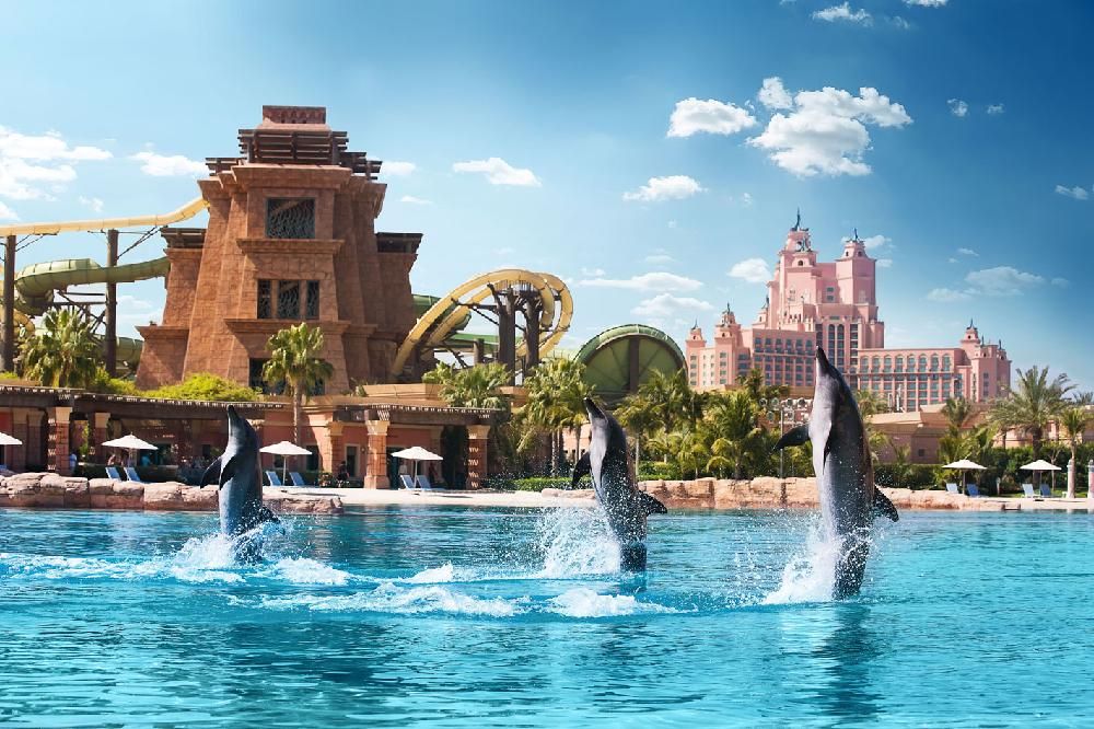 ATLANTIS THE PALM - 30