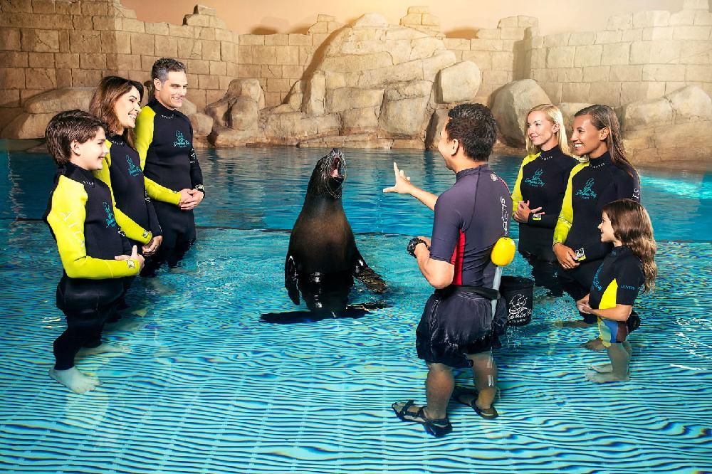 ATLANTIS THE PALM - 61