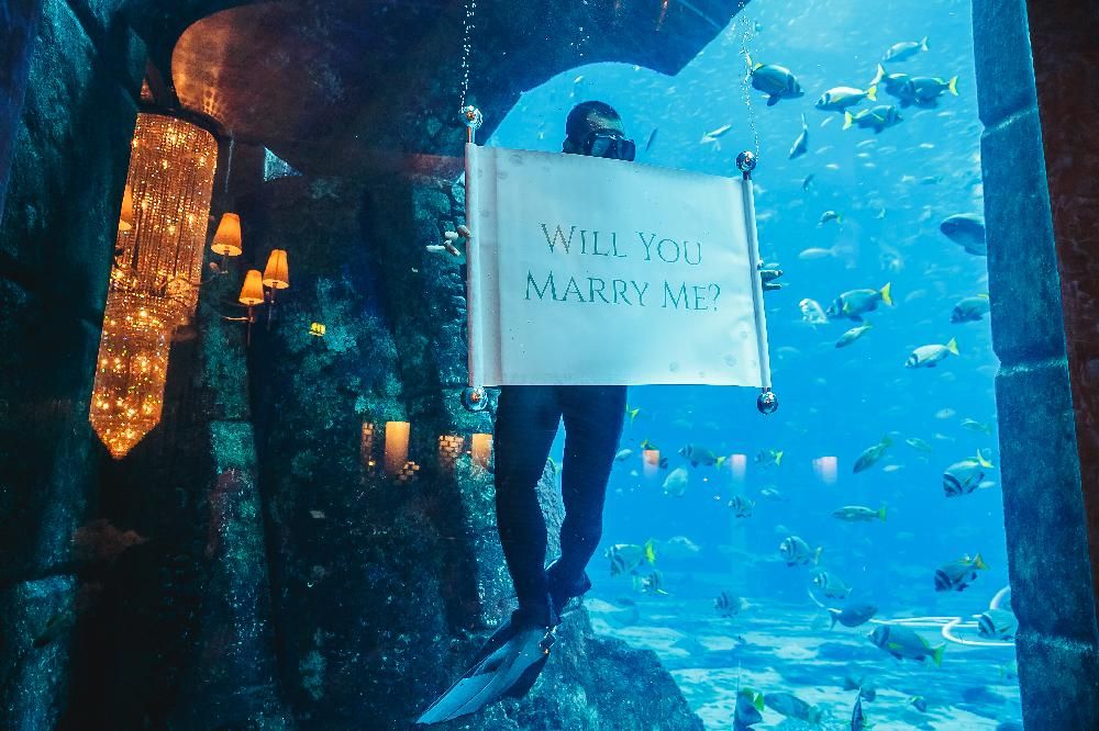 ATLANTIS THE PALM - 15