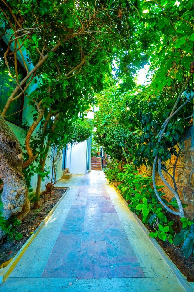 Villa Sonata Hotel - 4